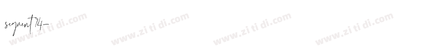segment 14字体转换